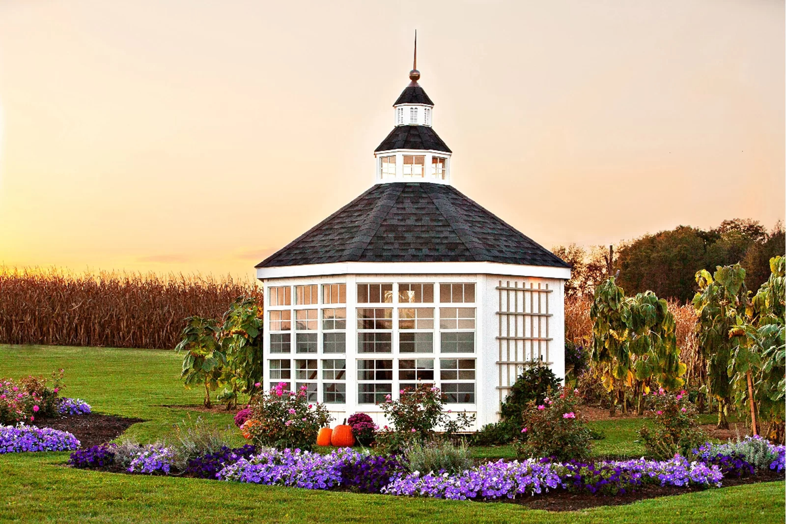 【Storage Shed】Colonial 144